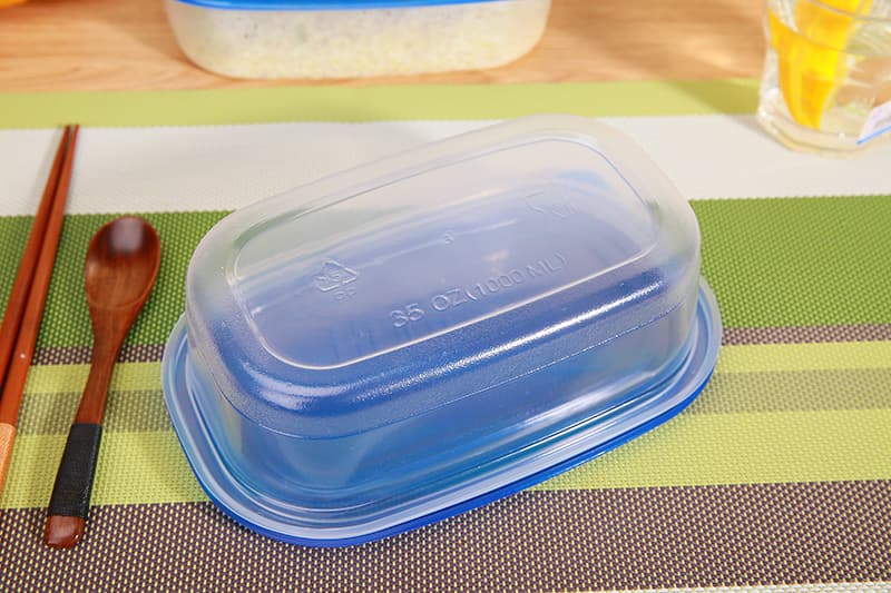 Eco-friendly Plastic Fresh Keeping Box 1000ML