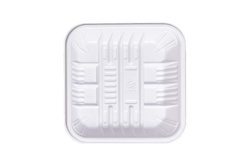 Biodegradable Rectangle Fresh Food Tray