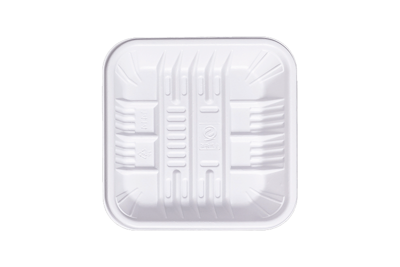 Biodegradable Rectangle Fresh Food Tray